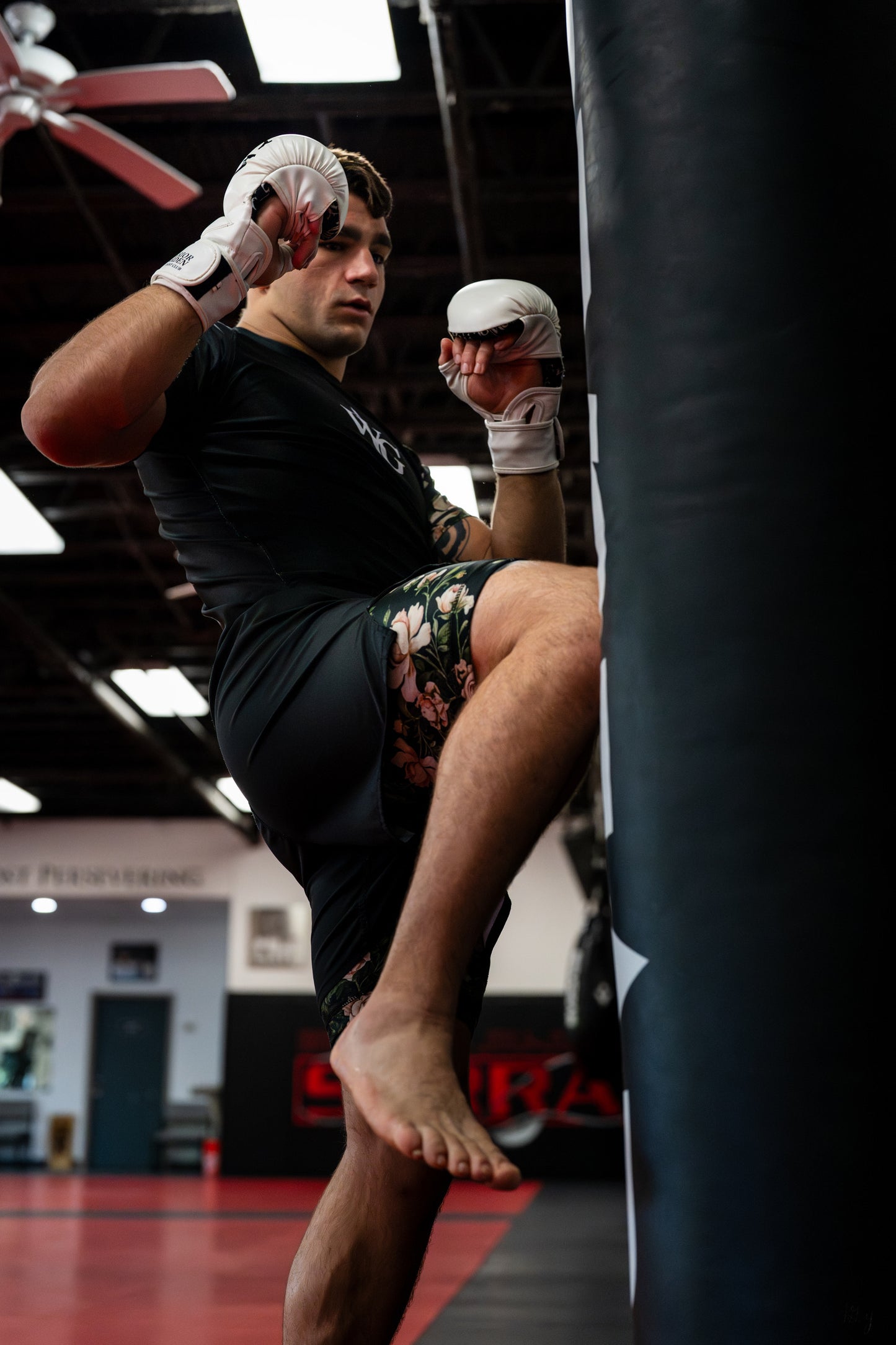 “ʀᴏᴏᴛꜱ ᴏꜰ ᴛʜᴇ ᴡᴀʀʀɪᴏʀ” ꜰɪɢʜᴛ ꜱʜᴏʀᴛꜱ