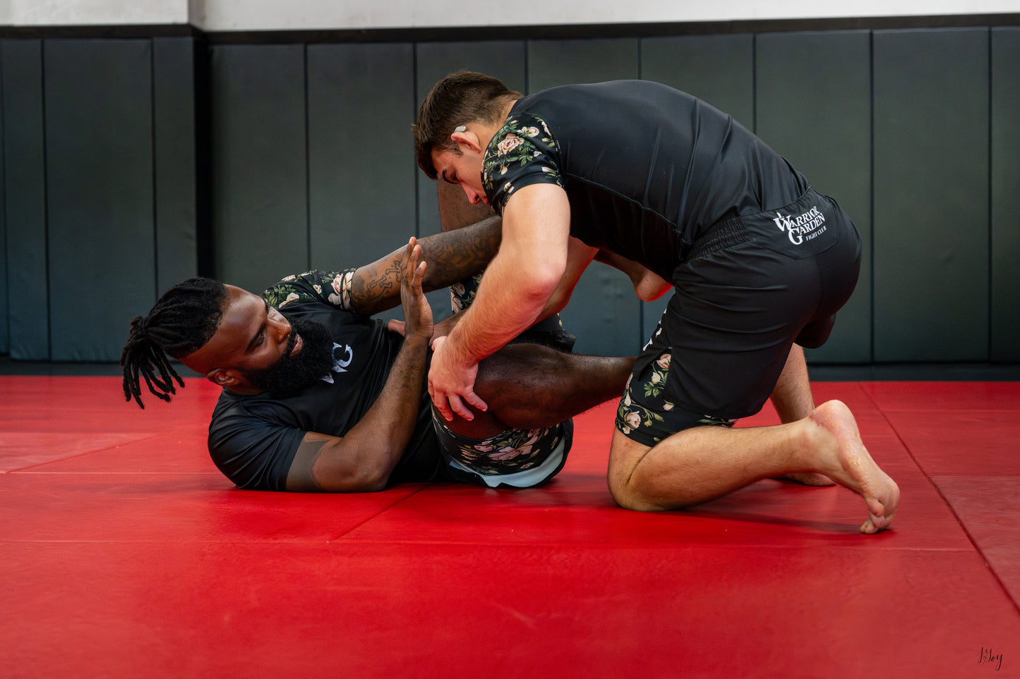 “ʀᴏᴏᴛꜱ ᴏꜰ ᴛʜᴇ ᴡᴀʀʀɪᴏʀ” ꜰɪɢʜᴛ ꜱʜᴏʀᴛꜱ