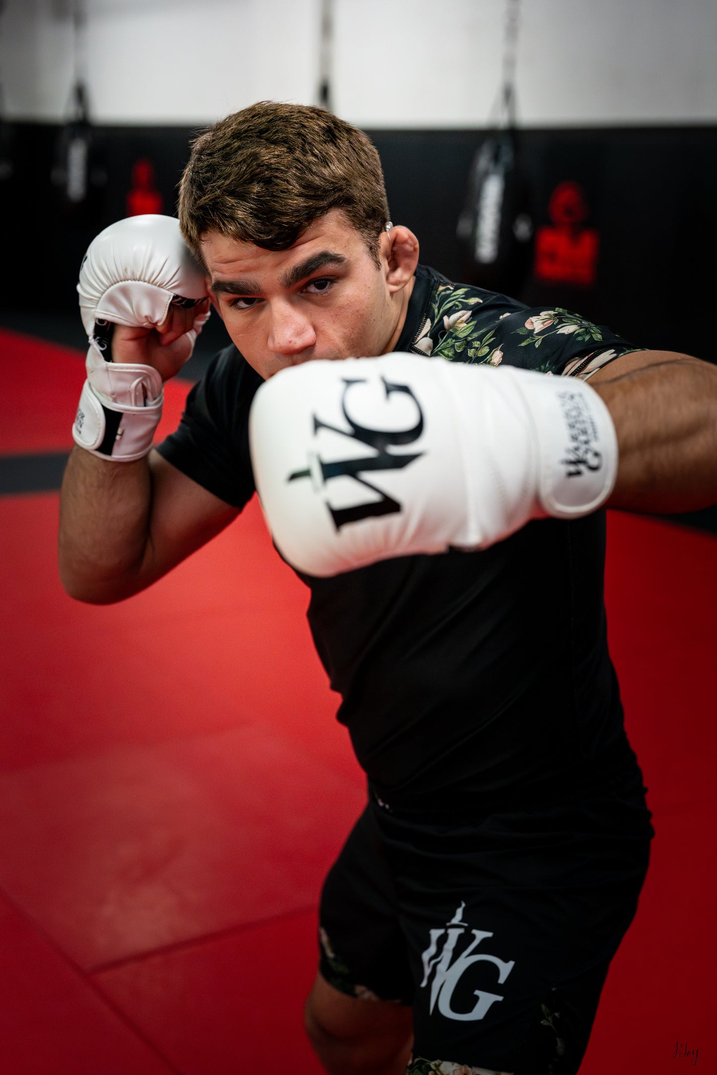 ᴡɢ ʜʏʙʀɪᴅ ᴍᴍᴀ ɢʟᴏᴠᴇ